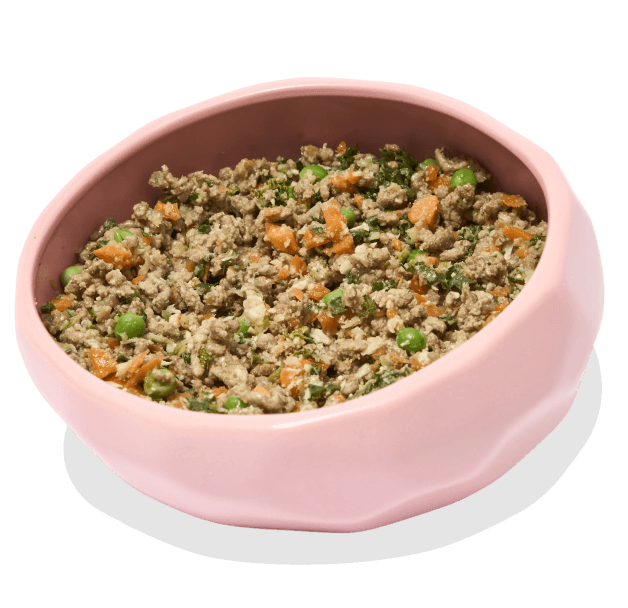 Beef bowl